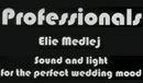 Professionals Sound & Lighting Logo