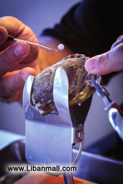 Jewelry design institute in Lebanon, Jewelry and Technological Institute of Lebanon, watch repair Lebanon, wax carving in Lebanon, technical schools in Lebanon, learn jewellery design in Lebanon, graduate jeweler program in Lebanon, casting and rubber mold program in Lebanon, computer jewelry design in Lebanon, jewelry stone setting in Lebanon, microscope stone setting in Lebanon, diamonds settings in Lebanon, microscope diamonds setting in Lebanon, gemology in Lebanon, training in gemology in Lebanon, skills in gemology in Lebanon, skills in gems in Lebanon, gems training in Lebanon, gem skills Lebanon, Lebanese gem school, Lebanese jewelry school, diamond grading in Lebanon, colored stone grading in lebanon