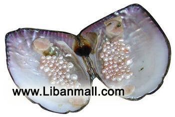 Jewelry design institute in Lebanon, Jewelry and Technological Institute of Lebanon, watch repair Lebanon, wax carving in Lebanon, technical schools in Lebanon, learn jewellery design in Lebanon, graduate jeweler program in Lebanon, casting and rubber mold program in Lebanon, computer jewelry design in Lebanon, jewelry stone setting in Lebanon, microscope stone setting in Lebanon, diamonds settings in Lebanon, microscope diamonds setting in Lebanon, gemology in Lebanon, training in gemology in Lebanon, skills in gemology in Lebanon, skills in gems in Lebanon, gems training in Lebanon, gem skills Lebanon, Lebanese gem school, Lebanese jewelry school, diamond grading in Lebanon, colored stone grading in lebanon