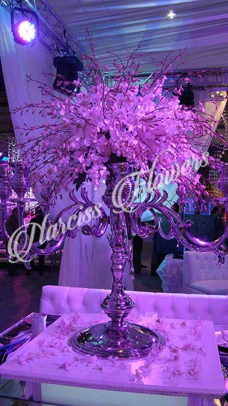 Narciss weddings and flowers,Lebanon weddings, Lebanese weddings,zaffe in Lebanon, wedding planners in Lebanon, wedding organizers in Lebanon, Lebanon Wedding Planners, wedding flowers in lebanon, wedding decorations in lebanon, wedding music in lebanon, zaffe in lebanon, wedding photographers in lebanon, wedding videos in lebanon, wedding venues in lebanon, wedding catering in lebanon, lebanese weddings, sound and light in lebanon, Florists in lebanon, lebanon florists, flowers in lebanon, lebanon flowers, flower shops in lebanon, lebanon flower shops, send flowers in lebanon, wedding flowers in lebanon, lebanon wedding flowers, wedding bouquets in lebanon, bridal bouquets in lebanon, bride bouquet in lebanon, roses in lebanon, tulips in lebanon, flower arrangements in lebanon, baby flower arrangement in lebanon, new born flower arrangements in lebanon, flower gifts in lebanon, birthday flower arrangement in lebanon, valantines roses in lebanon, valentines flower arrangements in lebanon, valentine gifts in lebanon,