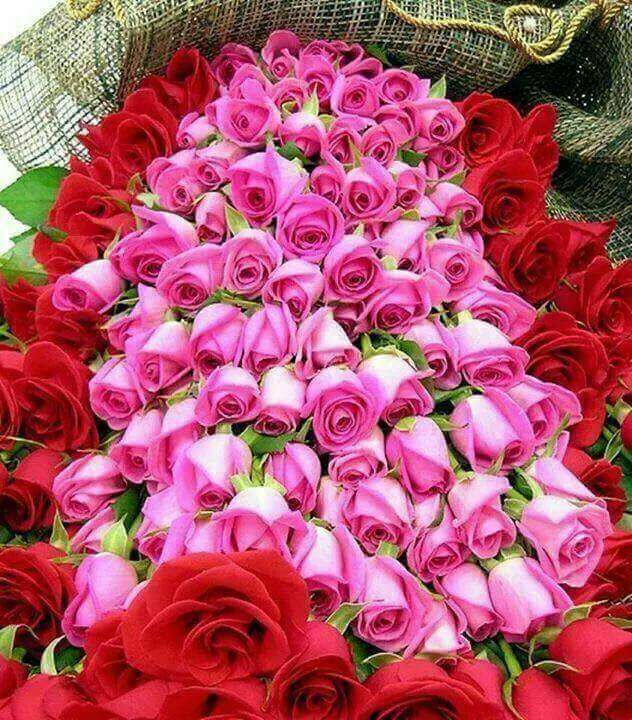 LebanonReve, wedding music in lebanon, zaffe in lebanon, wedding photographers in lebanon, wedding videos in lebanon, wedding venues in lebanon, wedding catering in lebanon, lebanese weddings, sound and light in lebanon, Lebanon weddings, Lebanese weddings,zaffe in Lebanon, wedding planners in Lebanon, wedding organizers in Lebanon, Lebanon Wedding Planners, wedding flowers in lebanon, wedding decorations in lebanon