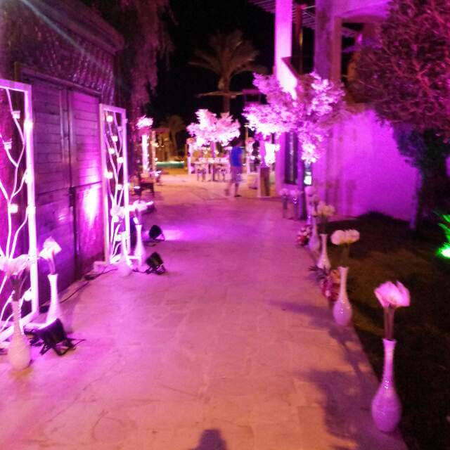 LebanonReve, wedding music in lebanon, zaffe in lebanon, wedding photographers in lebanon, wedding videos in lebanon, wedding venues in lebanon, wedding catering in lebanon, lebanese weddings, sound and light in lebanon, Lebanon weddings, Lebanese weddings,zaffe in Lebanon, wedding planners in Lebanon, wedding organizers in Lebanon, Lebanon Wedding Planners, wedding flowers in lebanon, wedding decorations in lebanon