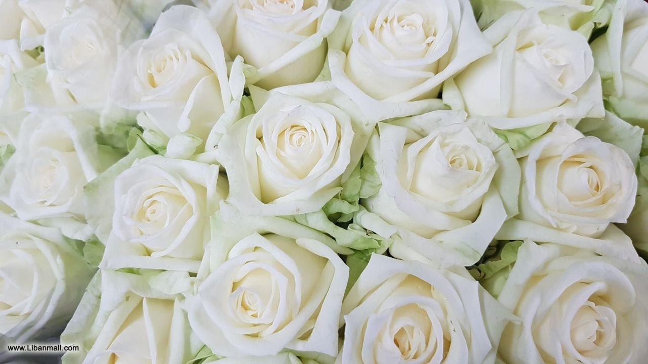 saddik flowers, Florists in Lebanon, flower shop
