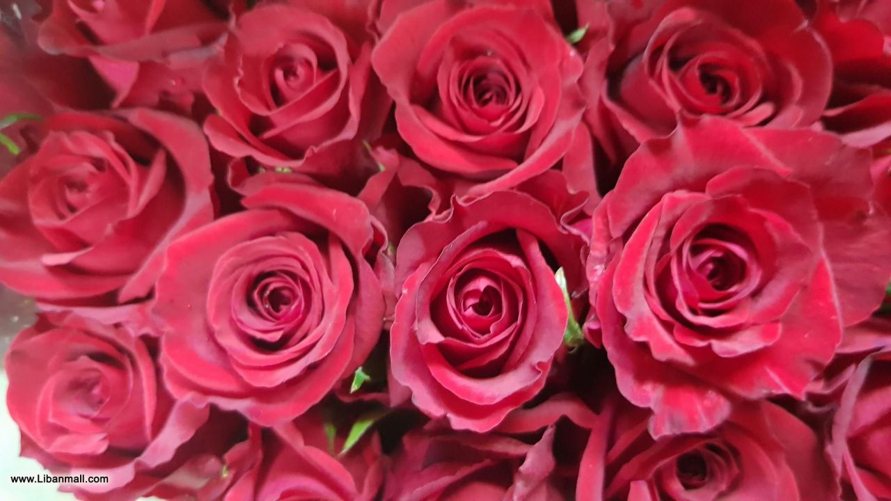 saddik flowers, Florists in Lebanon, flowers in Lebanon