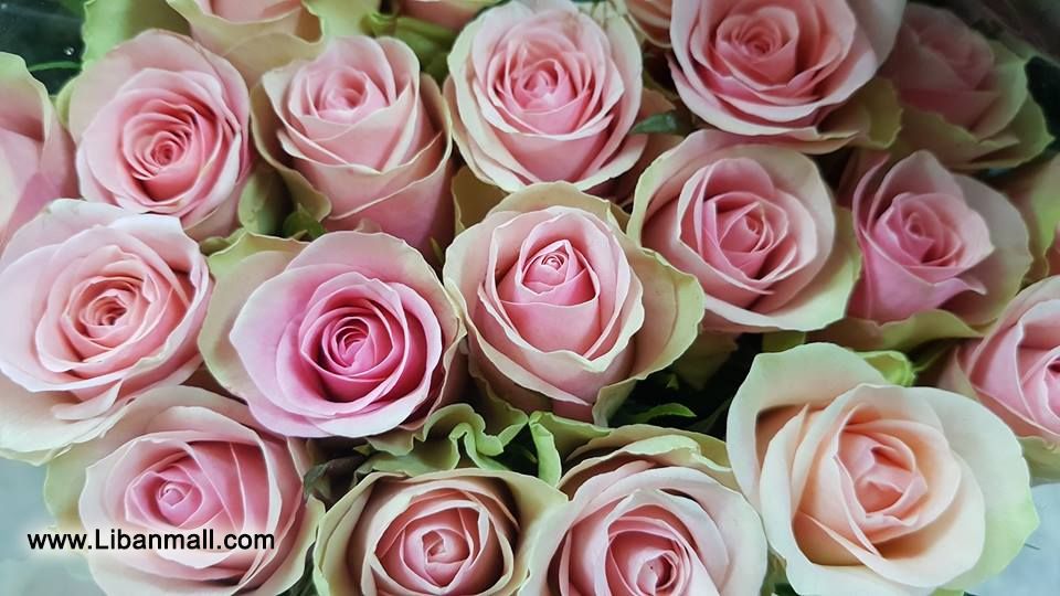 saddik flowers, Florists in Lebanon, flowers in Lebanon