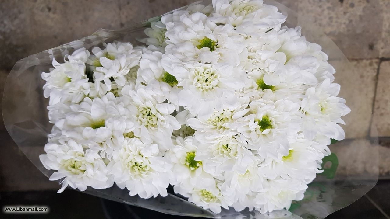 saddik flowers, Florists in Lebanon, wedding flowers