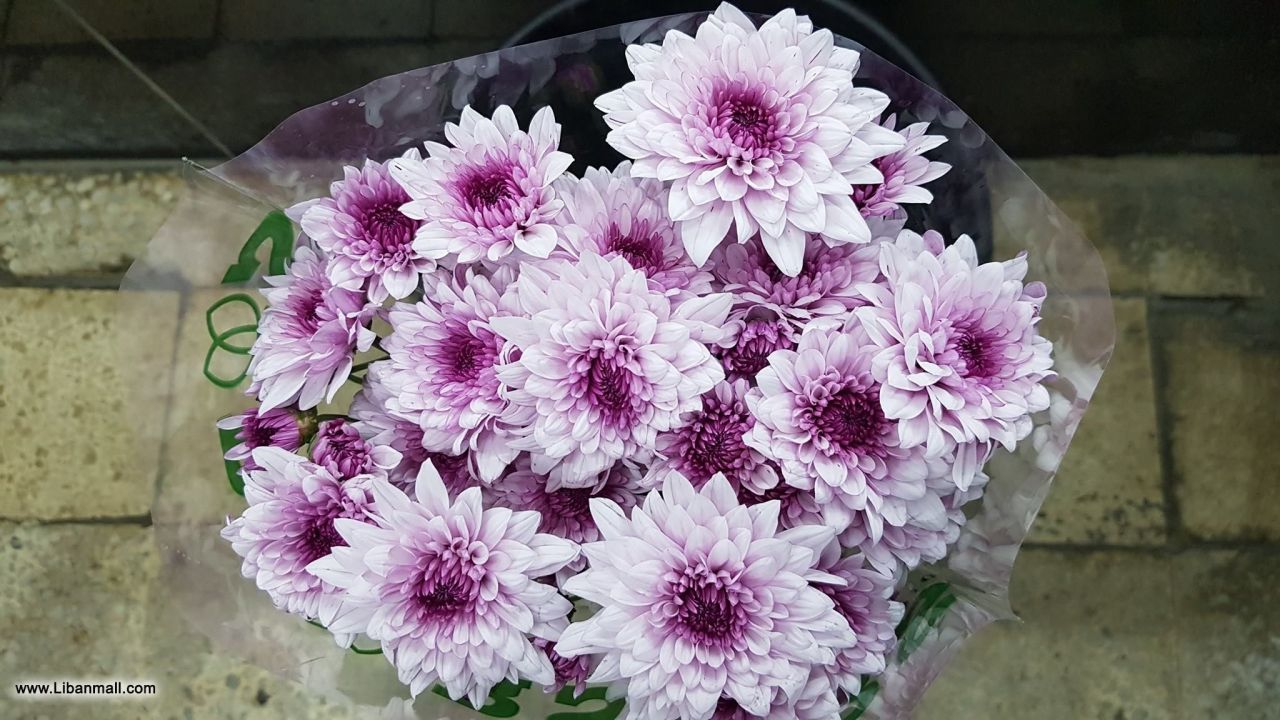 saddik flowers, Florists in lebanon, flower shop