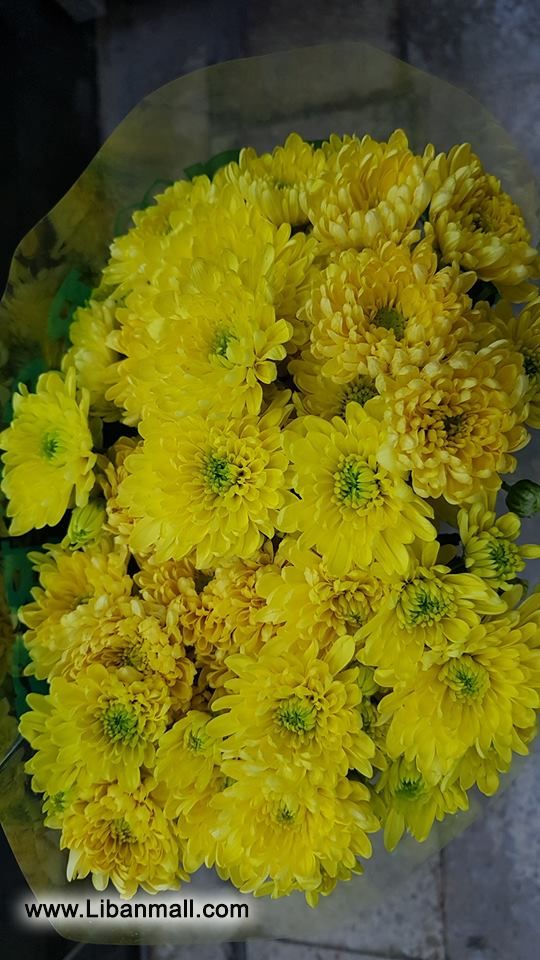 saddik flowers, Florists in Lebanon, flowers in Lebanon