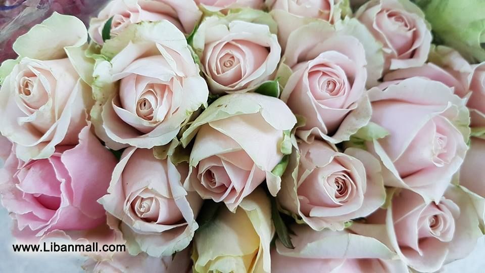 saddik flowers, Florists in Lebanon, wedding flowers