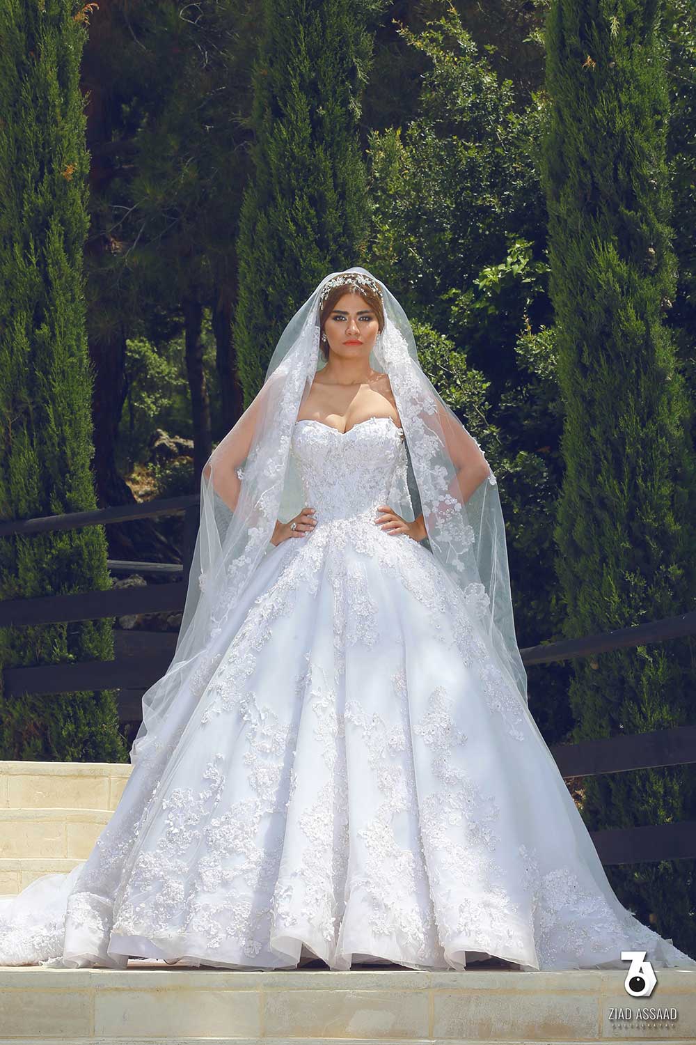 Elie Wehbe? Haute Couture,Wedding dresses in Lebanon,bridal dress rentals, bridal gown,haute couture lebanon, fashion designers in lebanon,weddings lebanon,Wedding dresses in Lebanon,  bridal dresses lebanon,lebanon weddings