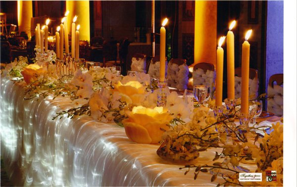 together 4 ever event organisers and wedding planners