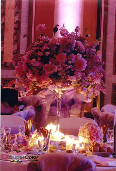 together 4 ever event organisers and wedding planners