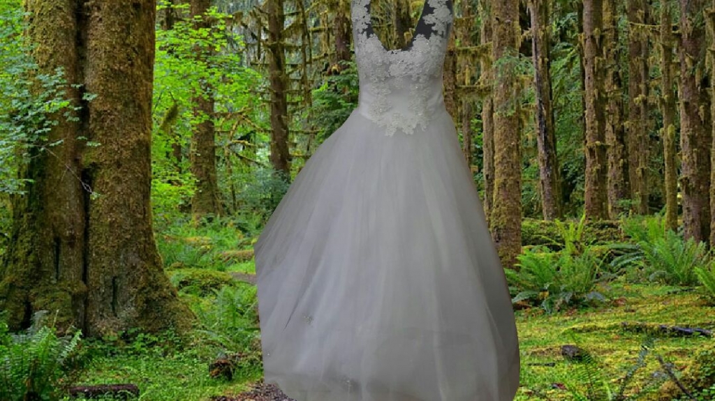 Fashion Designers in Lebanon, bridal dresss Lebanon,
Reina Wedding Gowns in Lebanon, Fashion 