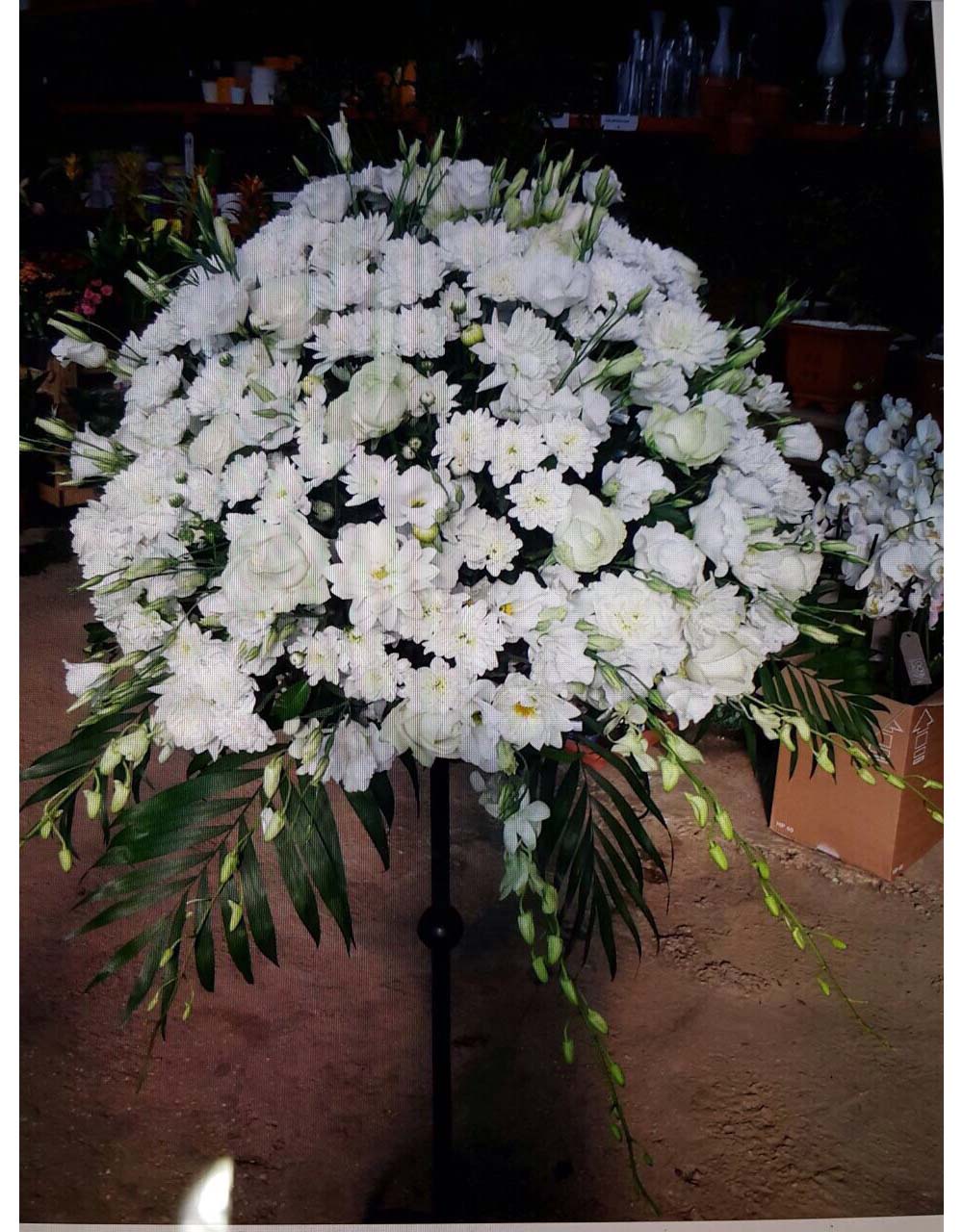 St Elie Flowers lebanon,Florists in lebanon, lebanon florists, flowers in lebanon, lebanon flowers, flower shops in lebanon, lebanon flower shops, send flowers in lebanon, wedding flowers in lebanon, lebanon wedding flowers, wedding bouquets in lebanon, bridal bouquets in lebanon, brdie bouquet in lebanon, roses in lebanon, tulips in lebanon, flower arrangements in lebanon, baby flower arrangement in lebanon, new born flower arrangements in lebanon, flower gifts in lebanon, birthday flower arrangement in lebanon, valantines roses in lebanon, valentines flower arrangements in lebanon, valentine gifts in lebanon, flower shop in lebanon,plants nursery in lebanon, landscaping in lebanon, Nursry plants, flowers, landscaping, wedding flowers, bouquets for all occasions, valentines roses, mothers day roses, newly born baby flowers, plants in pots, plants for the garden, money tree, bonsai tree