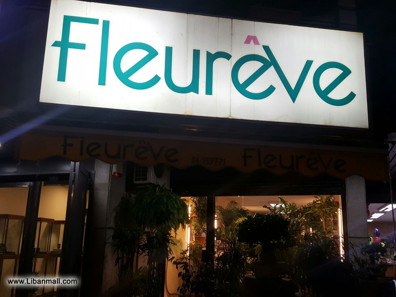 Fleureve, flower shop, Flowers & Plants
