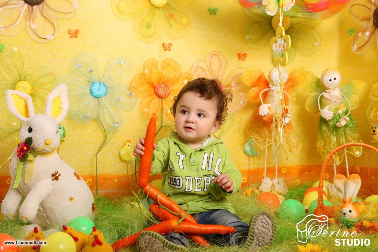 Serine Studio, Videos in Lebanon