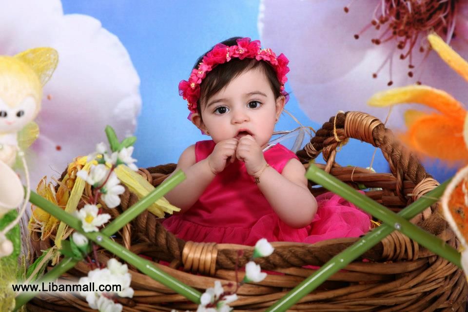 Serine Studio, Photography & Videography