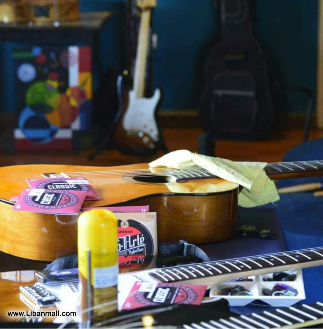 Davinci Musical School prodvides private music teachers for all ages and tastes plus a platform for skillful musicians that fearture talented musicians.