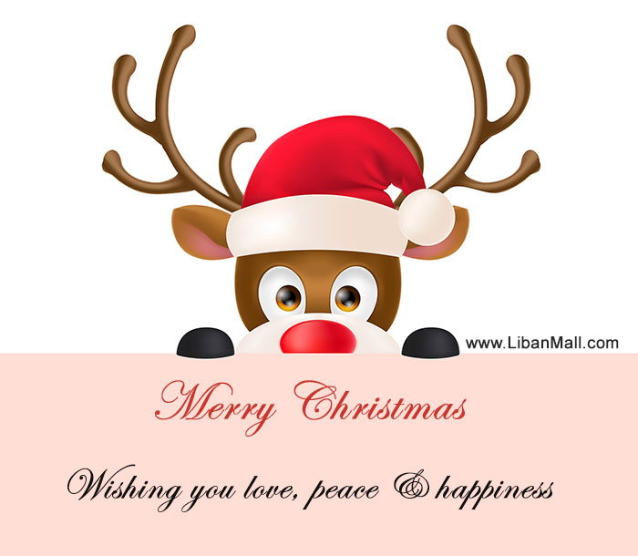 Rein deer Christmas card