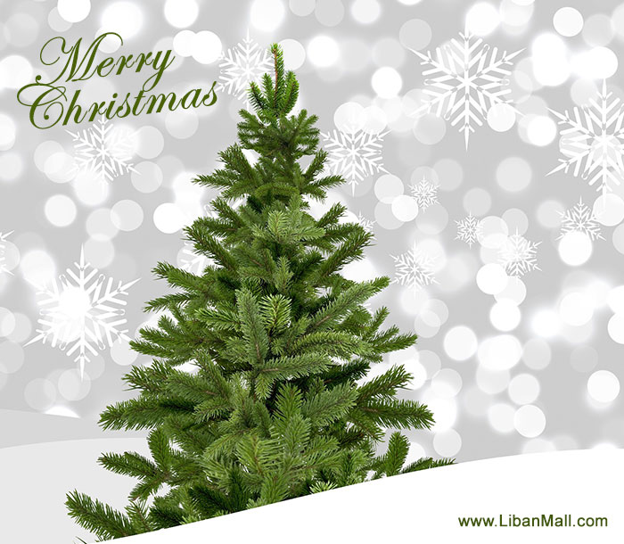 christmas tree card
