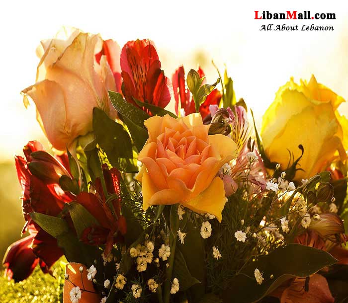 Free Mothers day Card, I love you mum card, free greetings cards, mothers hearts, Lebanon mothers day cards, mother's day greetings, free ecards, mother's day flowers, i love you mum,best mum in the world